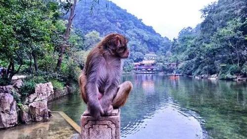 大连|贵阳市区必去的5个景点有哪些？