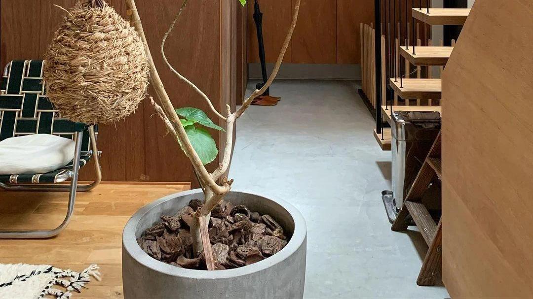 日本太太晒改造后的原木小屋，屋内布局精致，两人两猫，生活诗意