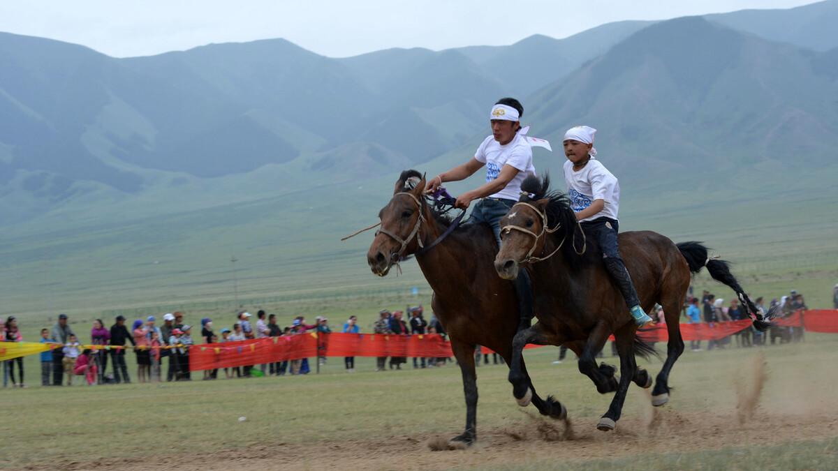 古镇|新疆第二大草原，夏季避暑冬季休闲的好去处，你知道是哪里吗？