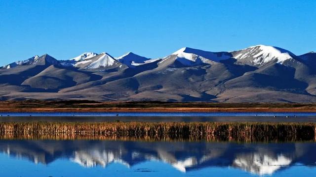 高原|青藏高原湖泊面积剧增，会有何影响？印度正在初尝苦果