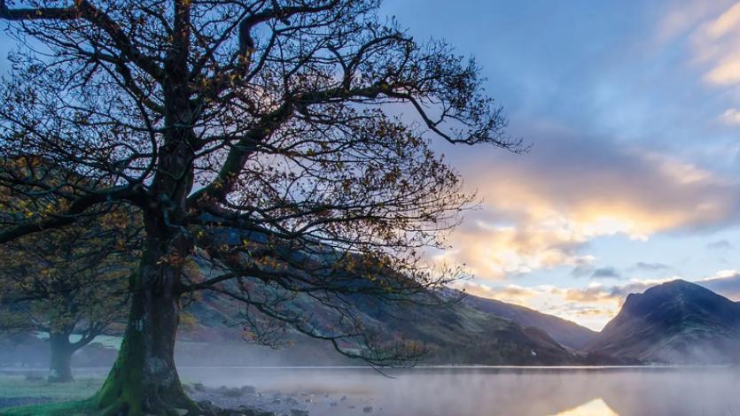 |收藏越资深的藏友素质为何越高