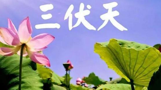 持续高温会严重破坏千斤顶的密封性