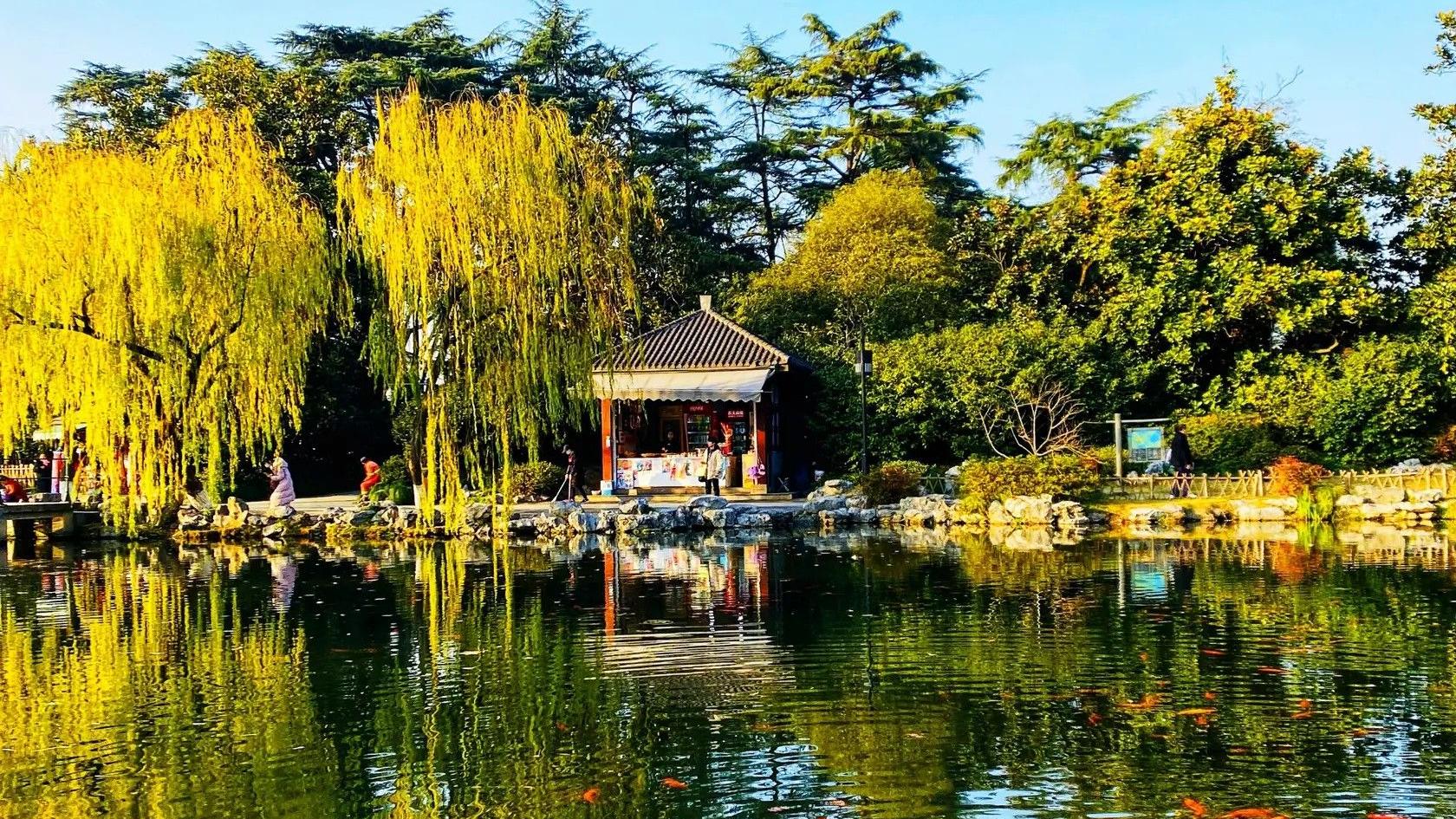 |“西湖十景”你知道多少？每个景点都体现了自然和人文的融合