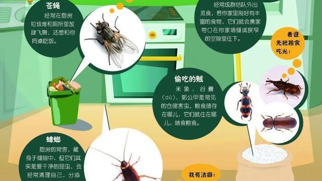 你家不请自来的“房客”