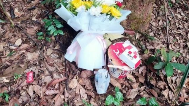 南京女大学生被害案将一审宣判，女生父亲：凶手家属频繁致电希望谅解