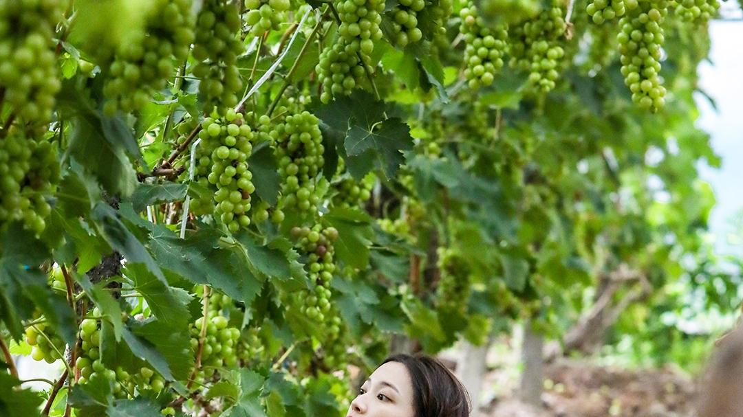 郭浩然|心动的信号5：资深醋坛李宛倩掀酸意，下意识别金佳悦风头，让郭浩然为难