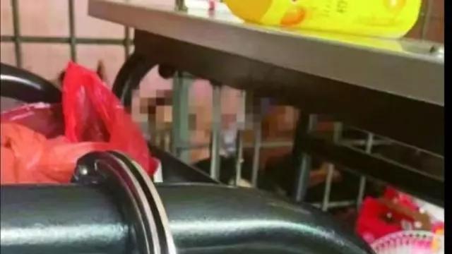 安徽|安徽某学院四名学生误信国外高薪谎言，前往缅甸，下落不明