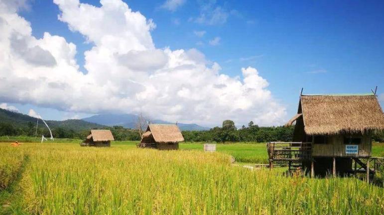 ?探索生活的多彩旅程：人际关系、职业生涯与身心健康的意义