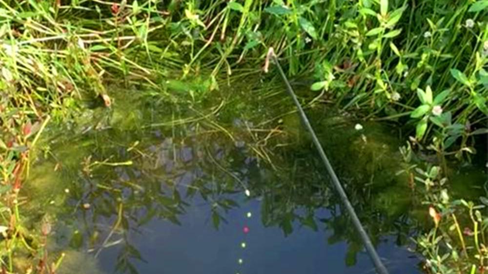 七星漂的调漂和漂相，秋季野钓鲫鱼，这种钓法不敢说第二