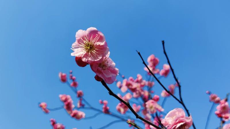 大学生|“86年以上的可以走了”难道真没有机会了？