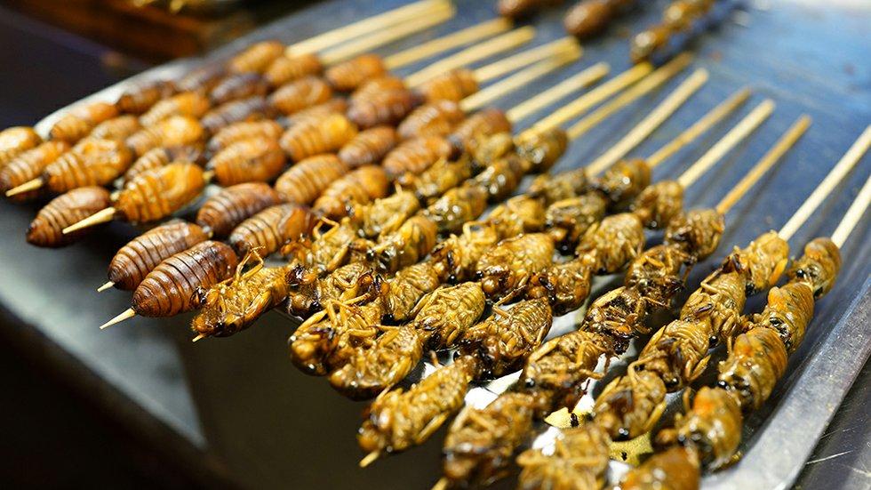 洋葱|世界上最好吃的10种昆虫，你真的敢吃吗？