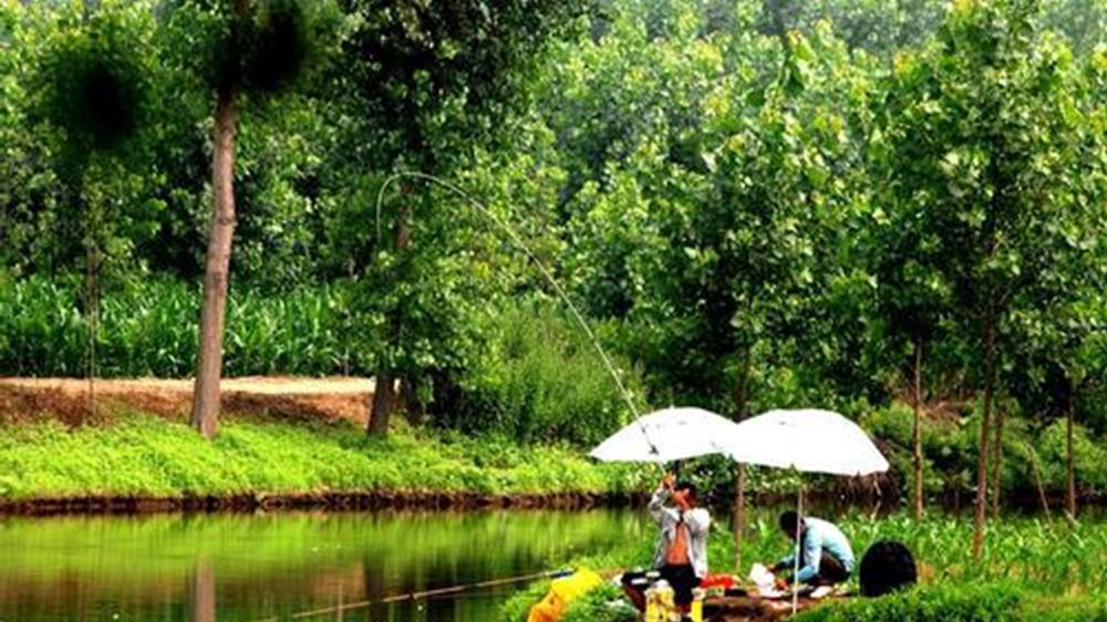 仲秋到晚秋野钓，钓位选择有3个变化，选错了要当“空军”