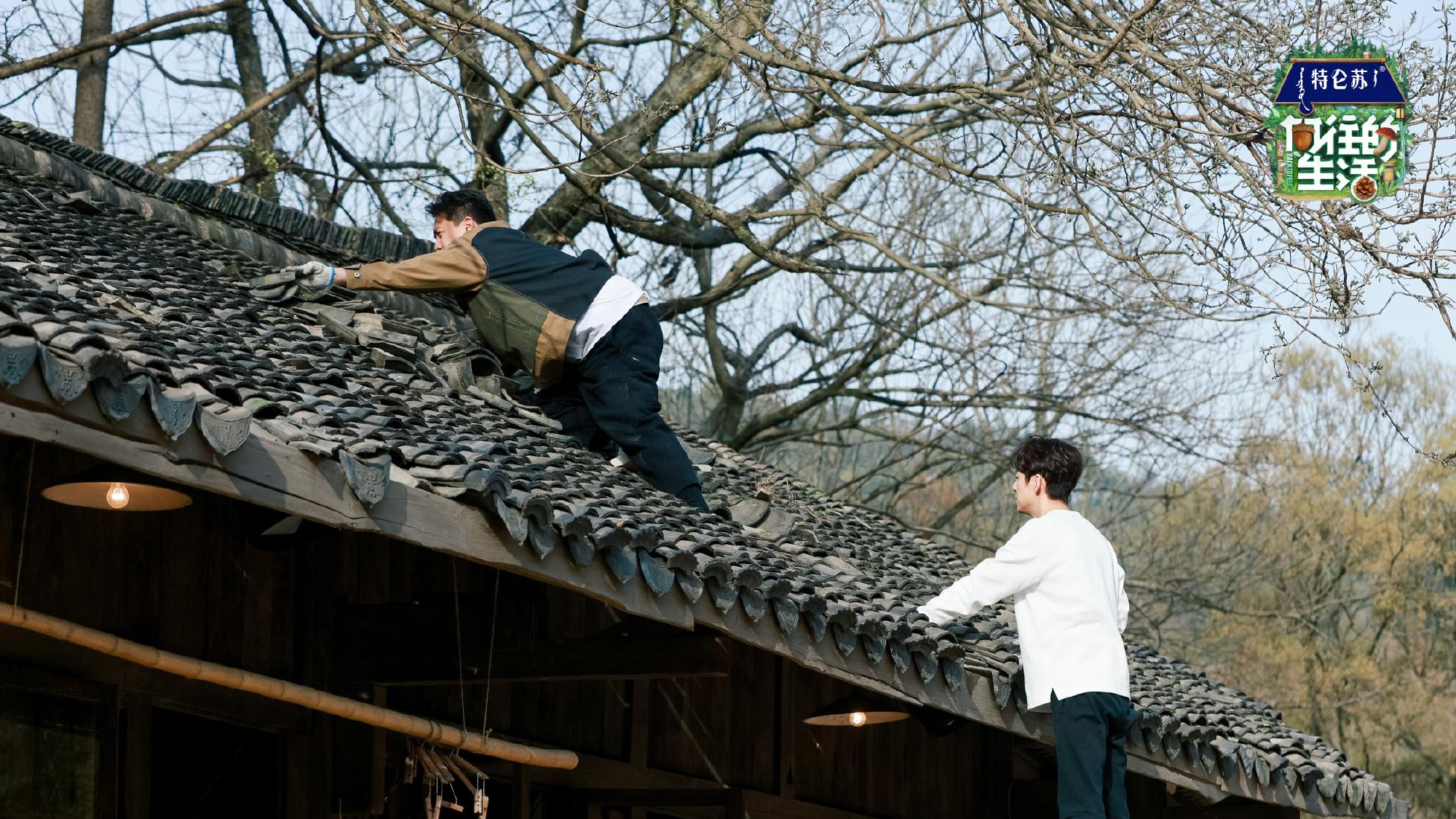 变形记|《向往的生活》第七季，追完六期观后感，艺人“变形记”要没了