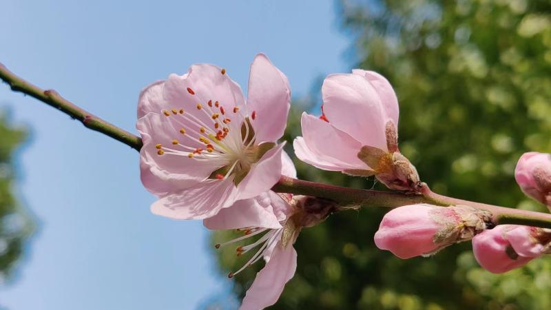 |影响你职场晋升的5个因素