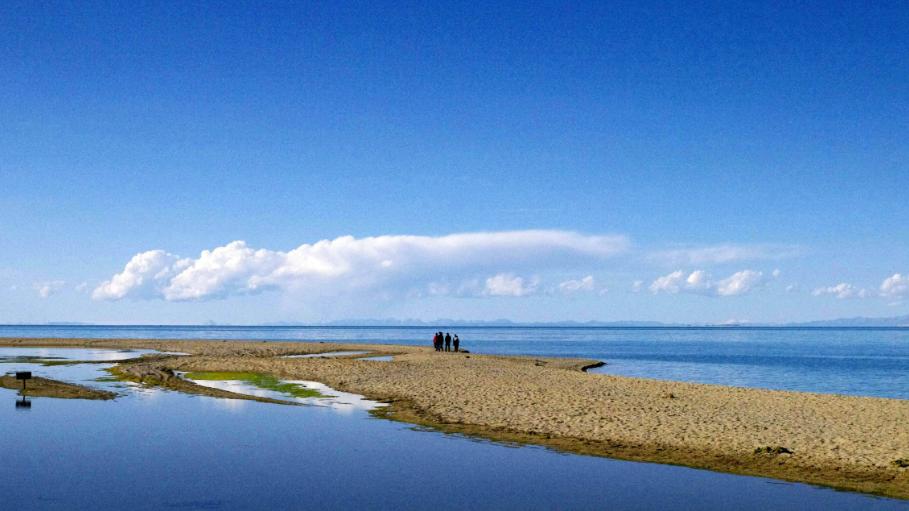 自驾|如果你有机会来到青海湖，一定不要错过这里的美景