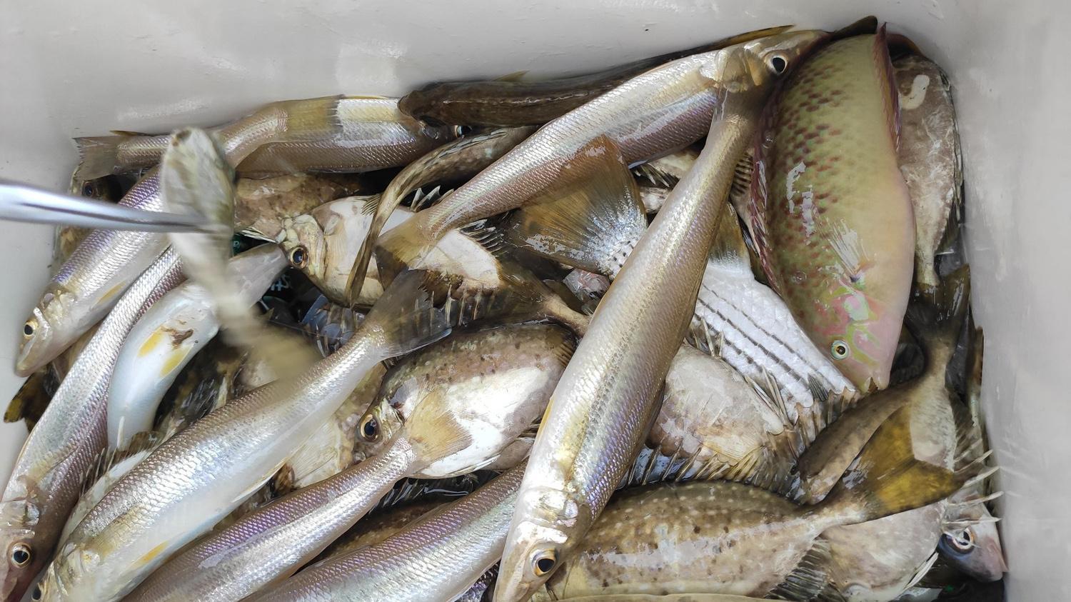 |春天在海边钓鱼时如何选钓位？春天在海边钓鱼时选钓位的技巧