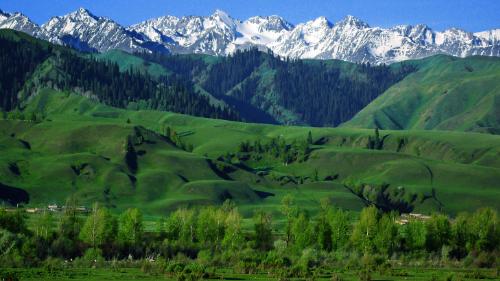 北疆|此生必去的地方——北疆，集多种自然景观为一体，真的是太酷辣