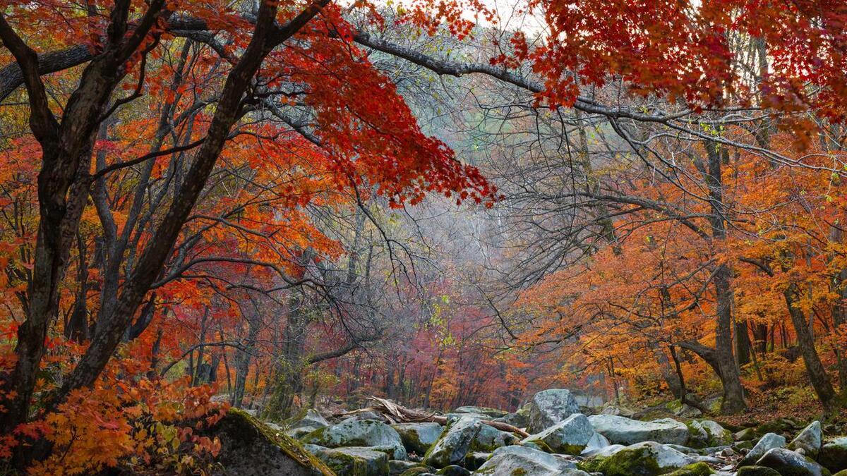 长白山|北方9个赏秋胜地，浓缩了北国最美秋色，你去过几个？