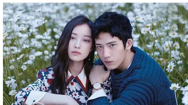 刘雯|超模刘雯心甘情愿当“同妻”？遭韩国男骗光底裤后，被利用借腹生子