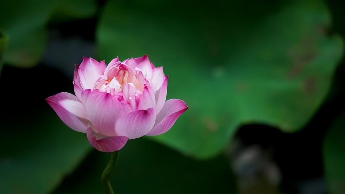 退休|退休后最好的活法：上、止、正