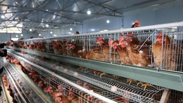 赵亮|演员赵亮：饰演三德子一炮而红，当红时退圈去养鸡，14年后怎样了