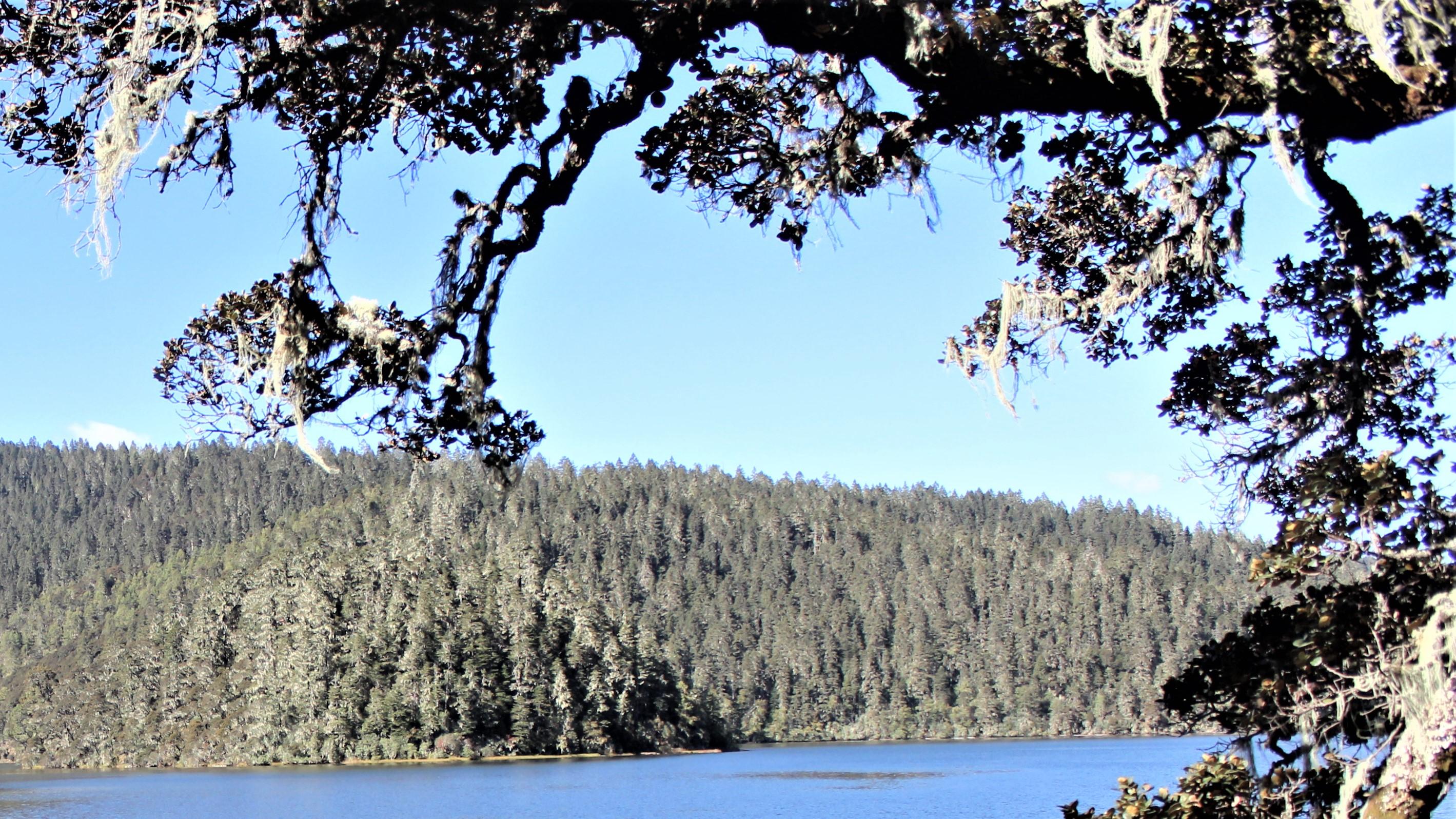 营收|职场，有没有弱者的空间