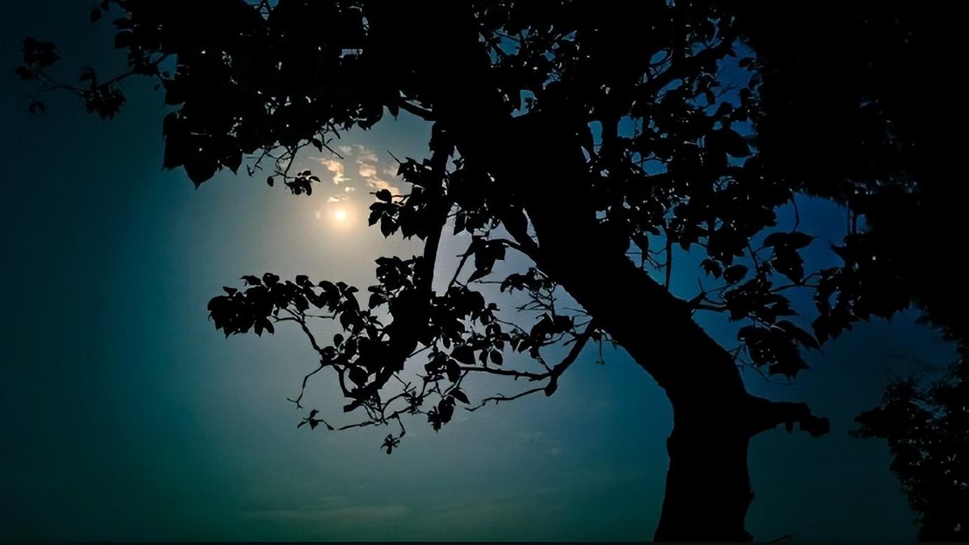 自寻烦恼|晚年雇佣保姆住家照顾，记得要先谈好几个条件，别自寻烦恼