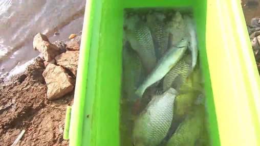 |深冬野钓水库全纪录，大鲫和翘嘴，渔获不多但库冠