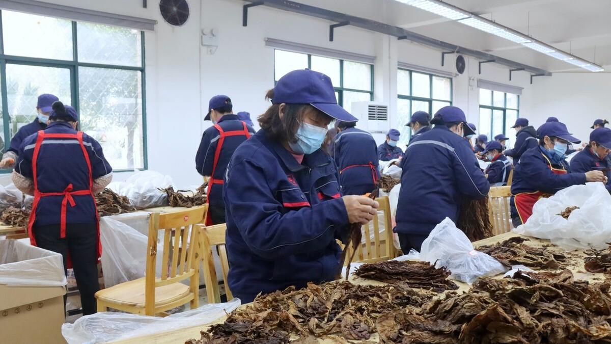 招聘|烟草岗位招聘来了，看看今年的考情，五险一金覆盖！