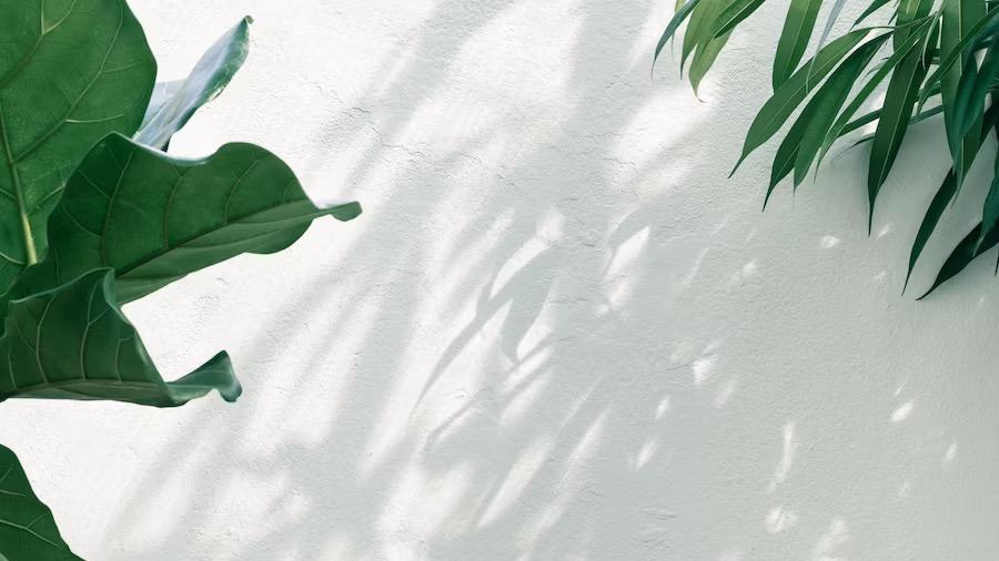 “在背后使坏，算计你”的人，往往有3个表现