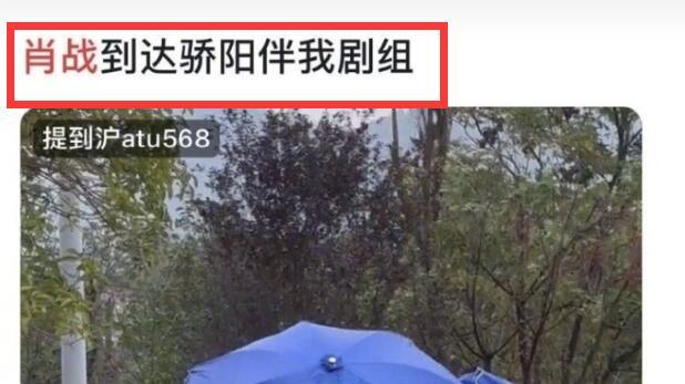 杨紫|同个司机、同款穿搭 、同款运动，一天4位顶流被扒恋爱痕迹！