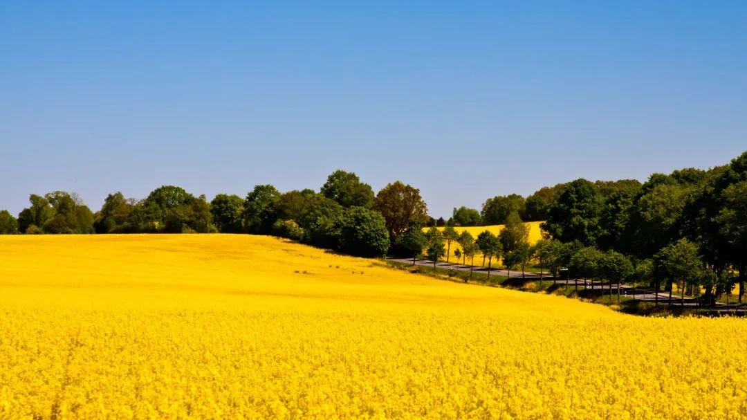 穿衣搭配|4月中旬，恭喜3大生肖，贵人临门，机遇四起，事业大发，走出困境