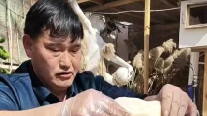 陈萌|陈萌挺孕肚拖地被夸贤惠，7点为朱小伟做早饭，动作熟练不喊累