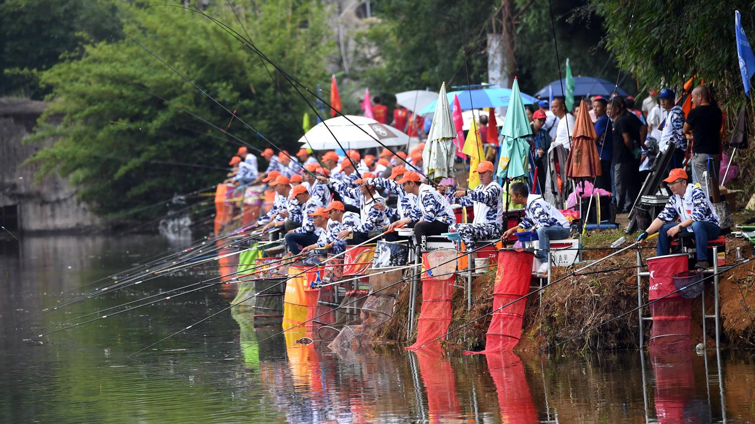 |钓鱼比赛作弊的方法有哪些？常见的钓赛作弊方法盘点