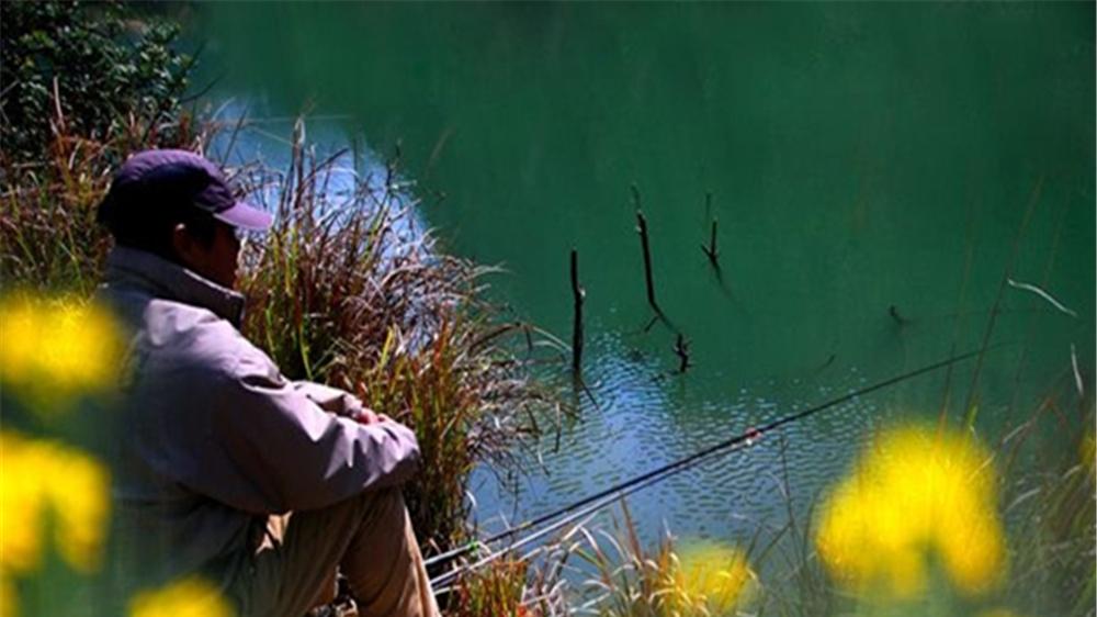 鲫鱼|春季野钓鲫鱼，找到鱼窝只需3步，在鱼群里下竿一钓一个准