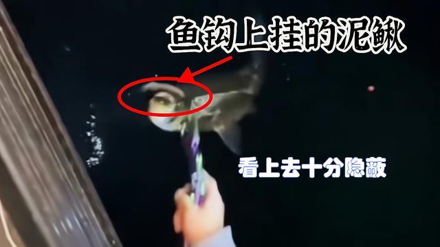 泥鳅|重庆“泥鳅党”光顾万峰湖？翘嘴鱼遭殃，当地钓鱼人紧盯渝牌车辆