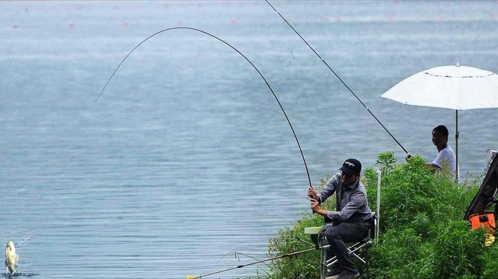 经典|夏季钓鱼，3种深水钓位大鱼扎堆，上鱼效率提升10倍