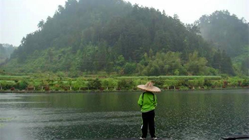 |夏季钓鱼，学会3个“万金油”招数，天热也能大鱼连竿