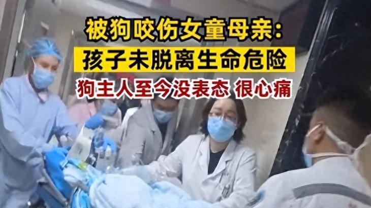 因恶犬伤人，明星们接二连三翻车，不懂审时度势，活该被怼了！