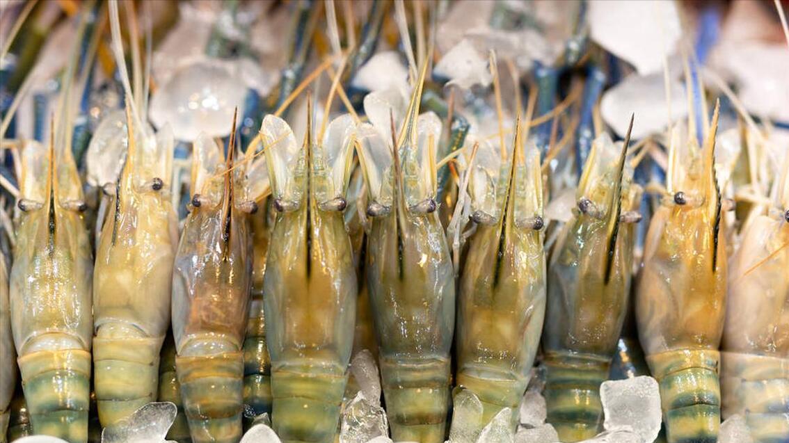 |买大虾时，为啥老板捞便宜，自己捞就贵？3个原因，建议弄明白