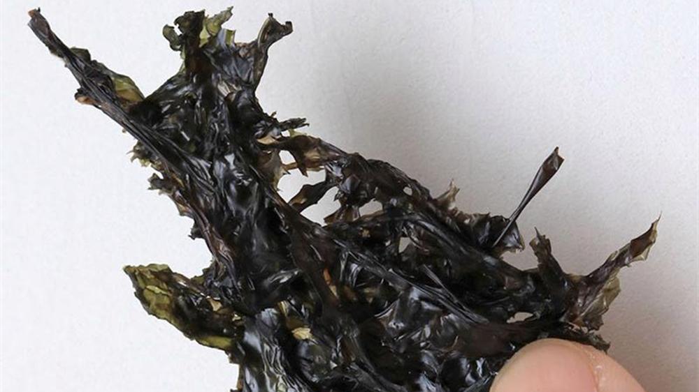 饵料|野钓草鱼，“绝杀”饵料汇总，不常见但有奇效