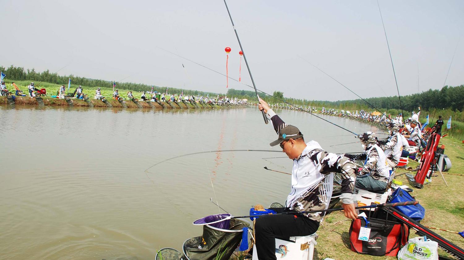 鲤鱼|果酸在春季钓黑坑鲤鱼是否有用？果酸在钓黑坑鲤鱼时的作用和用法