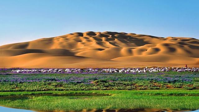 毛乌素沙漠|我国有一处面积比海南岛还大的沙漠，如今大部分已经变成绿洲