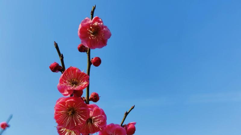 求职|到底是什么导致我们那么在意别人的看法？