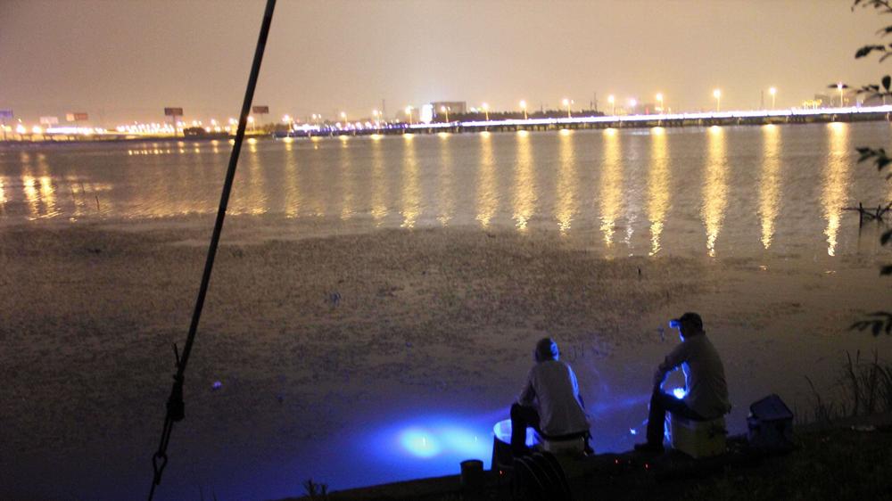 夜钓|夏天夜钓，记住4个基本规律，大鱼连竿到手酸