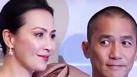 张柏芝|刘嘉玲的嘲弄、王菲的示威，更坚定了张柏芝以子为宝的坚强决心