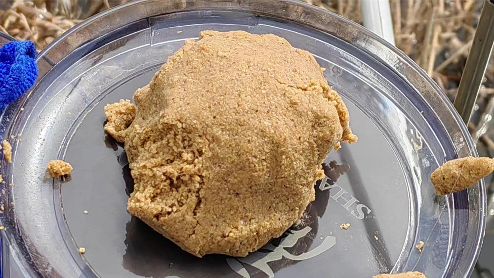 饵料|春分后野钓大鱼，钓鱼老手分享“4字秘诀”，做对了渔获倍增