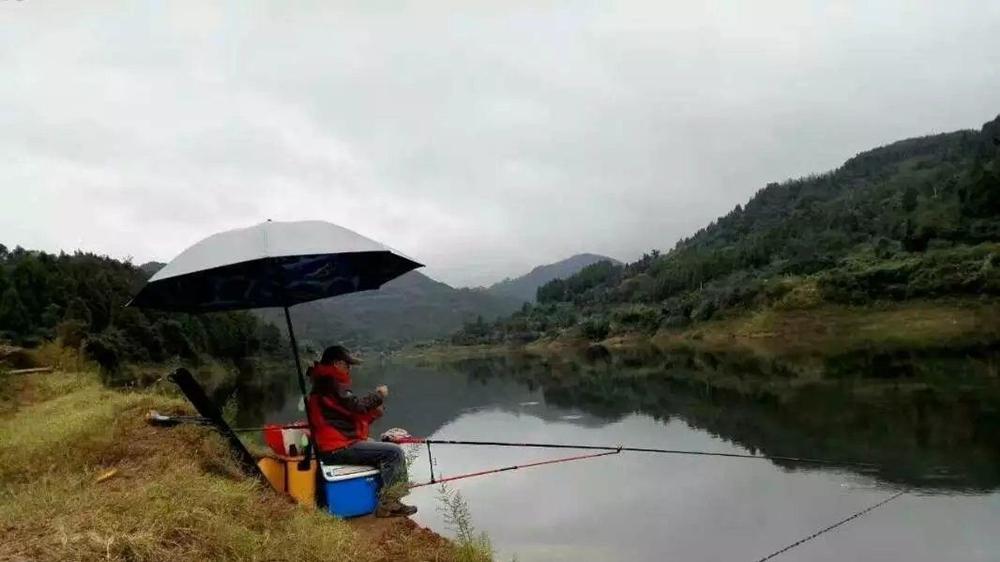 秋天钓鱼爆护节气表，想要连竿上鱼，技巧跟着节气走
