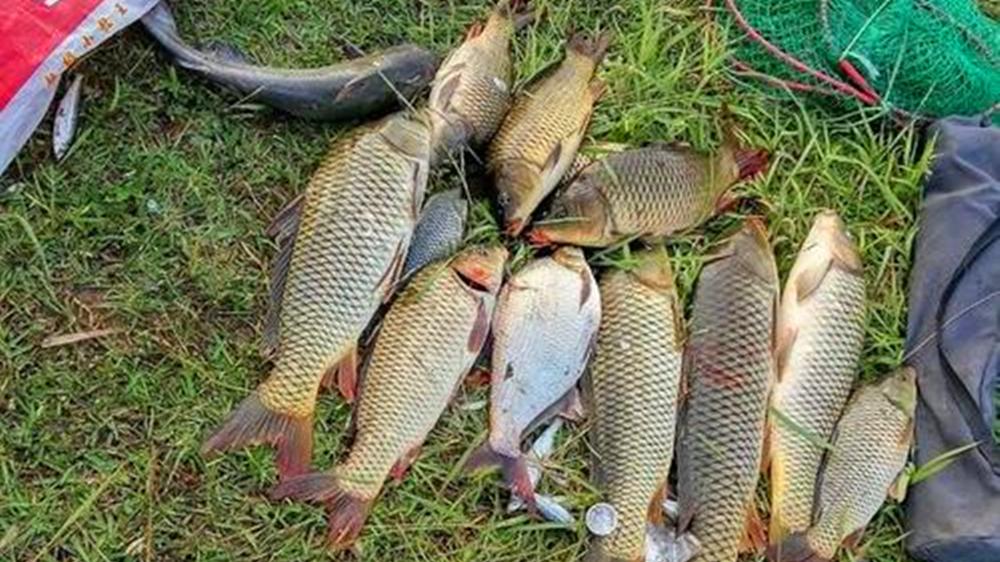 大水面野钓大鱼，串钩的4个灵活用法，不惧鱼情变化