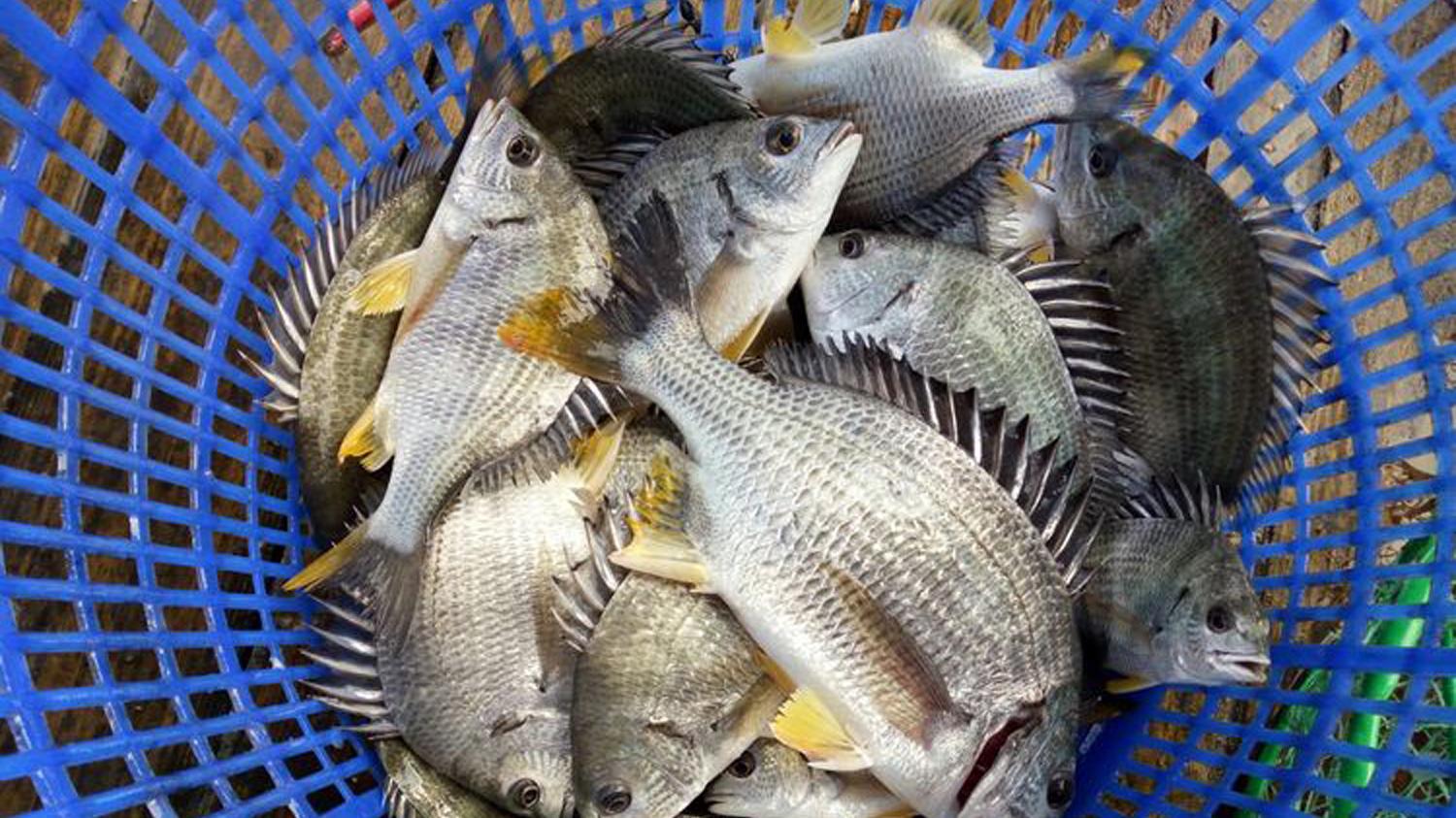 海钓新手怎样选装备？海钓新手选装备的技巧